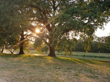 genius loci - okolí